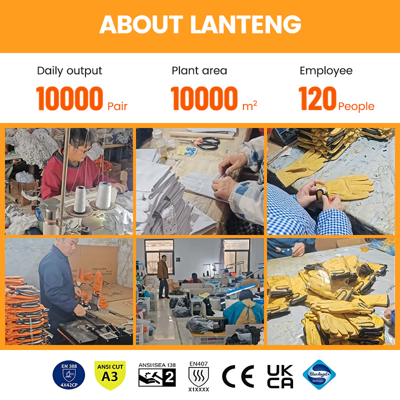 Custom logo High Quality Winte - Leather Work Winter Gloves review and price